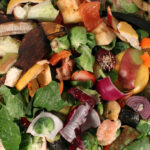 Composting,Pile,Of,Rotting,Kitchen,Fruits,And,Vegetable,Scraps,As